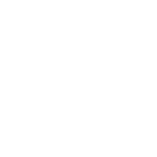 icono licencia de conducir en pagina Certificados Médicos Alt Gironella Barcelona